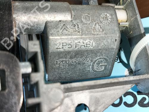 Front left exterior door handle PEUGEOT 208 I (CA_, CC_) 1.6 BlueHDi 100 | BP29887411C128