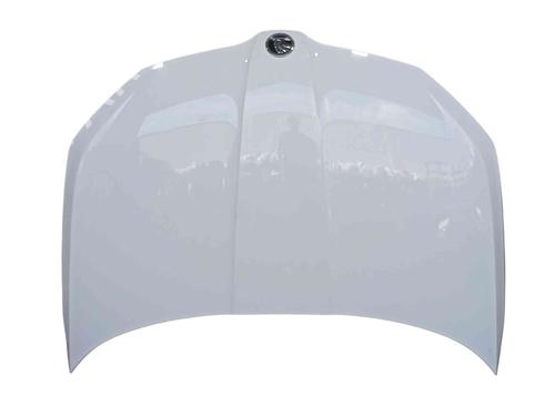 Panser Panser SKODA FABIA III (NJ3) 1.2 TSI (90 hp) 36296507 36296507