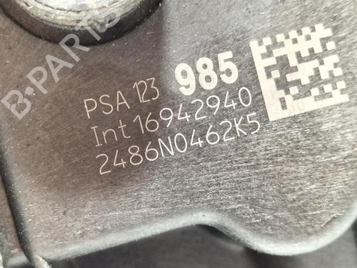 Rear left lock CITROËN C3 III (SX)  | BP8946400C100 