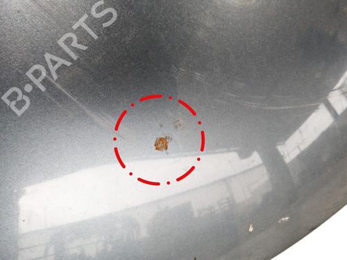 Hood PEUGEOT 307 (3A/C) 1.6 HDi | BP13359863C1 