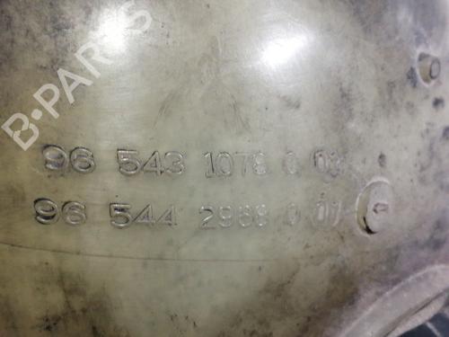 Expansion tank CITROËN C4 Picasso I MPV (UD_)  | BP10704752C120 