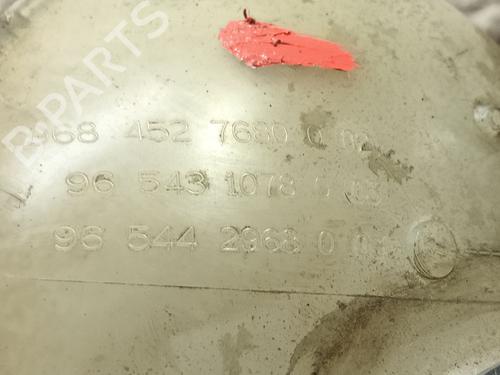 Expansion tank CITROËN BERLINGO MULTISPACE (B9) 1.6 HDi 75 / BlueHDi 75 | BP22779144C120 