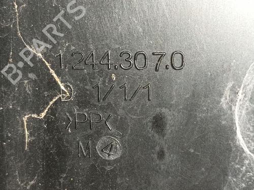 Right mirror RENAULT CLIO III (BR0/1, CR0/1) 1.2 16V (BR02, BR0J, BR11, CR02, CR0J, CR11) | BP30173250C27