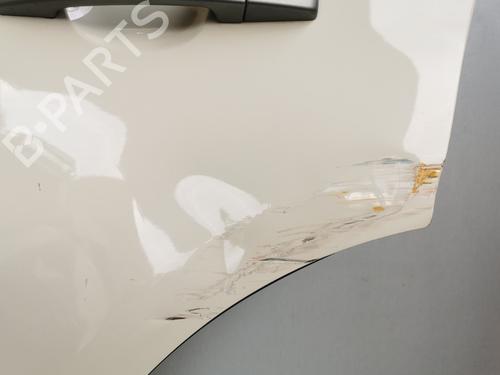 Left rear door LAND ROVER RANGE ROVER SPORT I (L320) 3.6 D 4x4 | BP8342400C4 