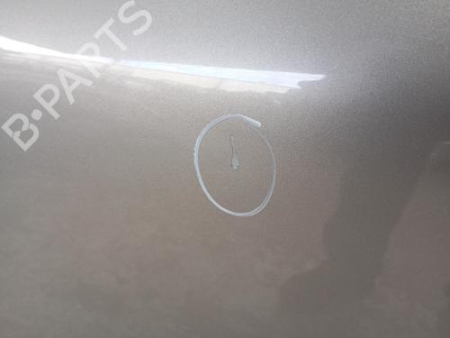 Left front door SKODA OCTAVIA II (1Z3) 1.9 TDI | BP22730613C2 