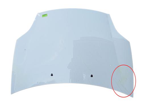 Used Hood FIAT BRAVO II (198_) 1.6 D Multijet (198AXH1B) (105 hp) 30834593