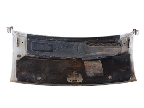 Hood FIAT DUCATO Van (250_)  | BP29457038C1 
