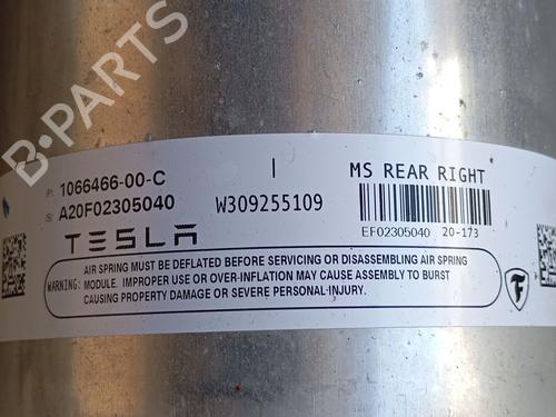 Right rear shock absorber TESLA MODEL S (5YJS)  | BP26558264M19 