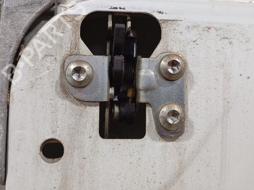 Left rear door FIAT DUCATO Van (250_) 130 Multijet 2,3 D | BP29526123C4 