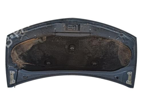 Hood RENAULT CLIO III (BR0/1, CR0/1) 1.5 dCi (BR17, CR17) | BP22731313C1 