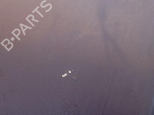 Hood PEUGEOT 307 (3A/C) 2.0 HDi 90 | BP22731493C1 