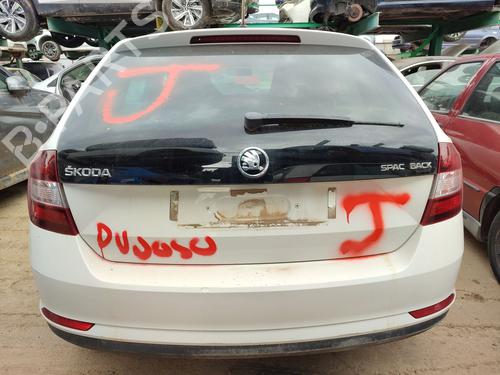 Engine SKODA RAPID Spaceback (NH1) 1.6 TDI | BP29131812M1 