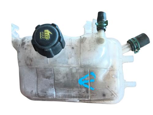 Used Expansion tank RENAULT MEGANE III Hatchback (BZ0/1_, B3_) 1.6 16V (BZ1B, BZ1H) (110 hp) 28577244