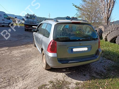 Tailgate lift support PEUGEOT 307 Break (3E) 2.0 HDI 110 | BP29131969C138 