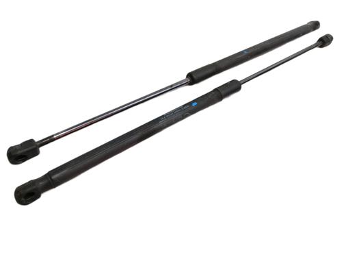 Used Tailgate lift support MERCEDES-BENZ A-CLASS (W169) A 180 CDI (169.007, 169.307) (109 hp) 14258850
