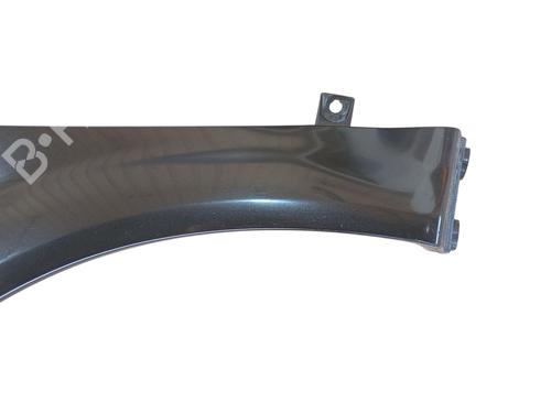 Used Left front fenders RENAULT SCÉNIC II (JM0/1_) 2.0 (JM05, JM0U, JM1N, JM1U, JM2V) (135 hp) 28836826