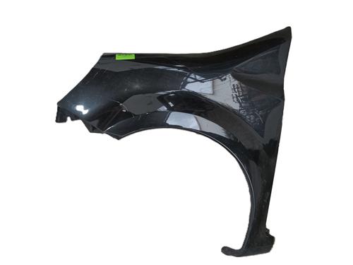 Parafango anteriore sinistro RENAULT MODUS / GRAND MODUS (F/JP0_) 1.5 dCi (FP0D, JP0D) (82 hp) 30808535