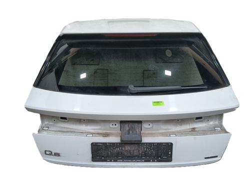Used Tailgate Tailgate AUDI Q8 (4MN, 4MT) 50 TDI Mild Hybrid quattro (286 hp) 36039562 36039562