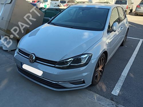 Used Parts VW GOLF VII (5G1, BQ1, BE1, BE2) 1.6 TDI (115 hp) 4442103