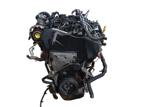 Engine SKODA RAPID Spaceback (NH1) 1.6 TDI | BP29131812M1 