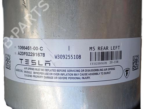 Left rear shock absorber TESLA MODEL S (5YJS)  | BP26558265M18 
