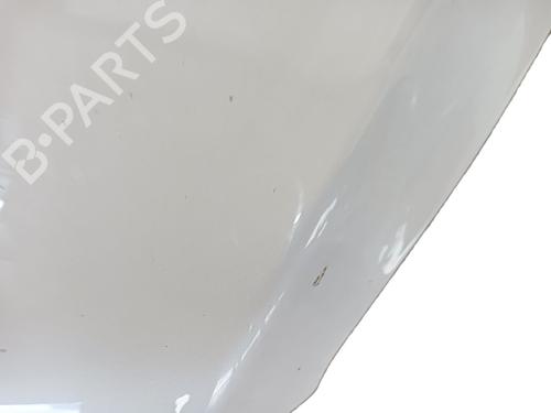 Hood FORD KUGA II (DM2) 2.0 TDCi | BP24855791C1 