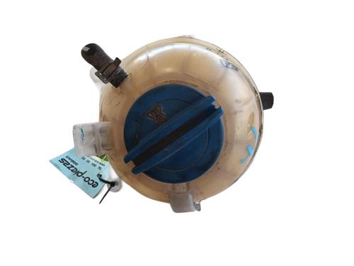 Used Expansion tank SKODA FABIA II (542) 1.2 (60 hp) 29131360