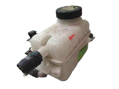 Used Expansion tank Expansion tank MG MG ZS SUV (ZS32) 1.5 Hybrid+ (197 hp) 36269800 36269800