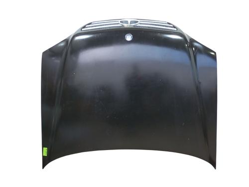 Cofano anteriore MERCEDES-BENZ M-CLASS (W163) ML 400 CDI (163.128) (250 hp) 31983057