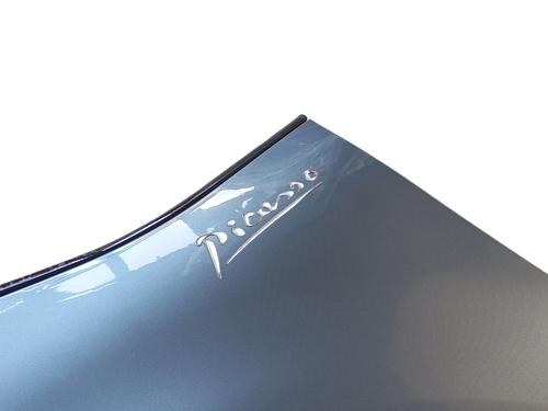 Left front fenders CITROËN C4 Picasso I MPV (UD_) 1.6 HDi | BP30329991C41