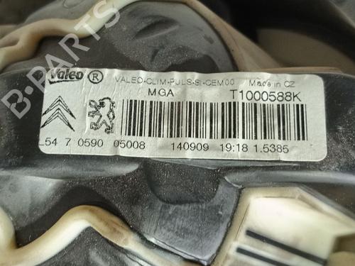 Heater blower motor CITROËN C3 Picasso (SH_) 1.6 HDi | BP19396219M62 