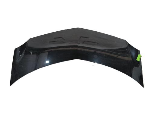 Motorhjelm RENAULT MODUS / GRAND MODUS (F/JP0_) 1.5 dCi (FP0D, JP0D) (82 hp) 30750461