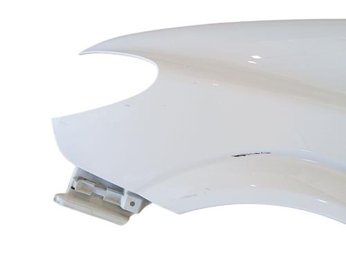 Left front fenders MERCEDES-BENZ VITO / MIXTO Van (W639) 109 CDI (639.601, 639.603, 639.605) | BP29074200C41 