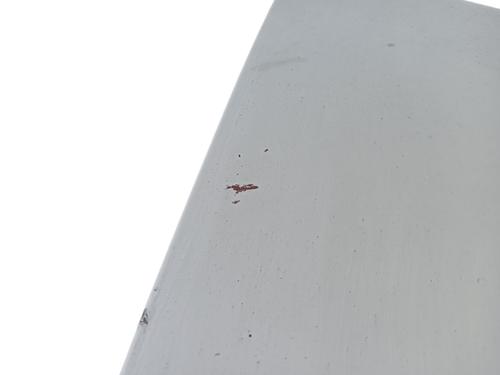 Hood FORD TRANSIT Van (FA_ _)  | BP18407131C1 