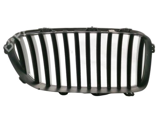 Grille BMW 5 (F10) 530 d xDrive | BP10384708C40 