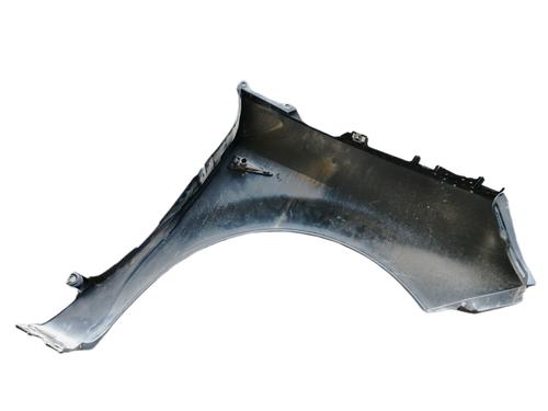 Left front fenders RENAULT SCÉNIC II (JM0/1_)  | BP15205068C41 