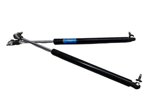 Tailgate lift support JEEP GRAND CHEROKEE II (WJ, WG)  | BP16138473C138 