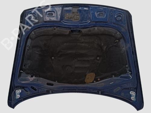 Motorhjelm VW TOUAREG (7LA, 7L6, 7L7) 2.5 R5 TDI | BP20341799C1 