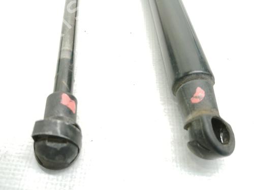 Tailgate lift support BMW 1 (F20) 114 d | BP14263094C138