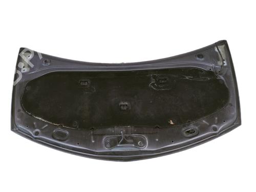 Hood RENAULT CLIO III (BR0/1, CR0/1)  | BP12178165C1 