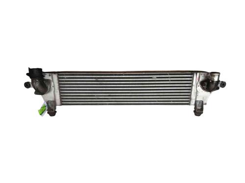 Intercooler Intercooler NISSAN QASHQAI I (J10, NJ10) 2.0 dCi (150 hp) 36323053 36323053