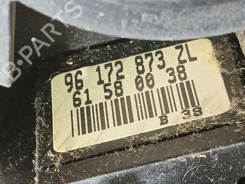 Switch CITROËN XSARA PICASSO (N68) 2.0 HDi | BP32416906I30 