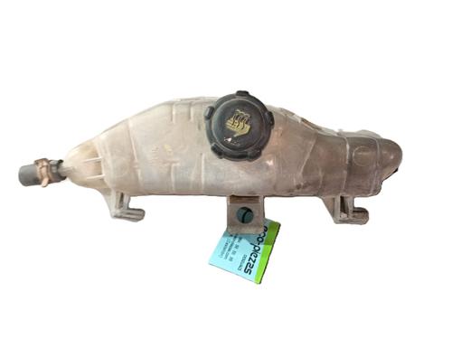 Used Expansion tank RENAULT CLIO III (BR0/1, CR0/1) 1.2 16V (BR02, BR0J, BR11, CR02, CR0J, CR11) (75 hp) 24593923