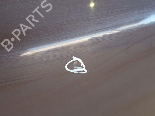 Right rear door HYUNDAI SANTA FÉ II (CM) 2.2 CRDi 4x4 | BP29200925C5 