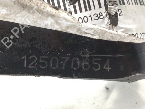 Break pedal CITROËN C4 Picasso I MPV (UD_)  | BP10776471I19 