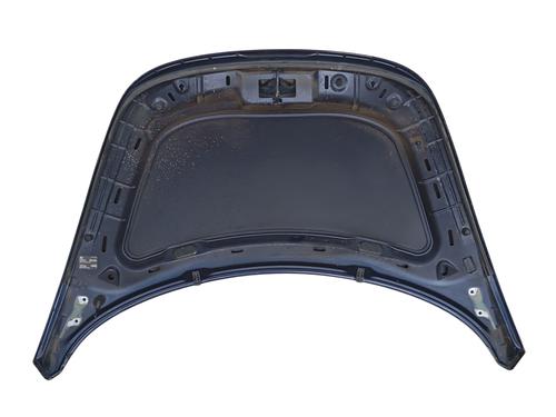 Hood VW NEW BEETLE (9C1, 1C1) 1.6 | BP30120454C1