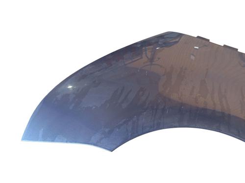 Left front fenders CITROËN C4 Picasso I MPV (UD_) 1.6 HDi | BP27497067C41 