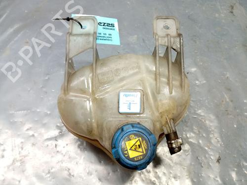 Used Expansion tank FIAT GRANDE PUNTO (199_) 1.3 D Multijet (75 hp) 23039384