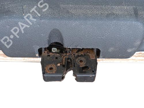 Tailgate RENAULT CLIO III (BR0/1, CR0/1) 1.5 dCi | BP30273211C6