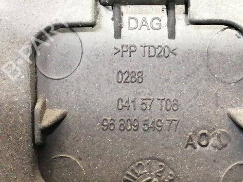 Glove box PEUGEOT PARTNER Box Body/MPV 1.6 HDi 16V | BP10542761C95 